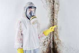 Best Environmental Consulting for Mold Prevention  in USA